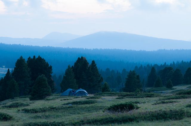 Une nuit dans le vercors